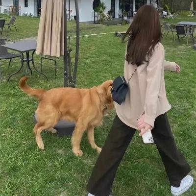 白色猎人黑色心